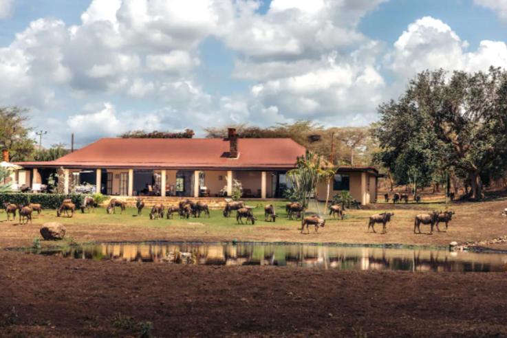 Wildlife Residence Tuvaila Экстерьер фото
